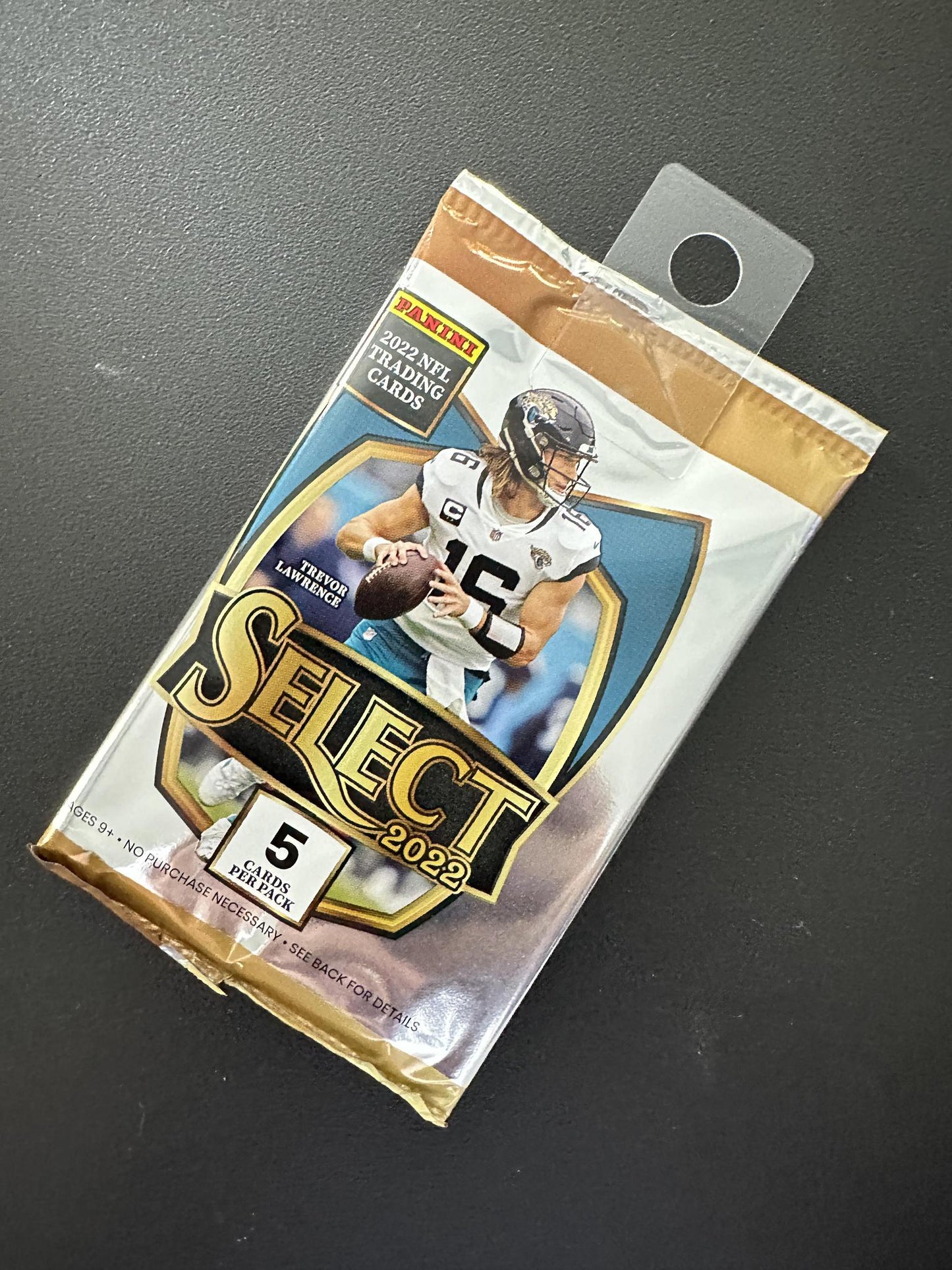 Panini Select NFL