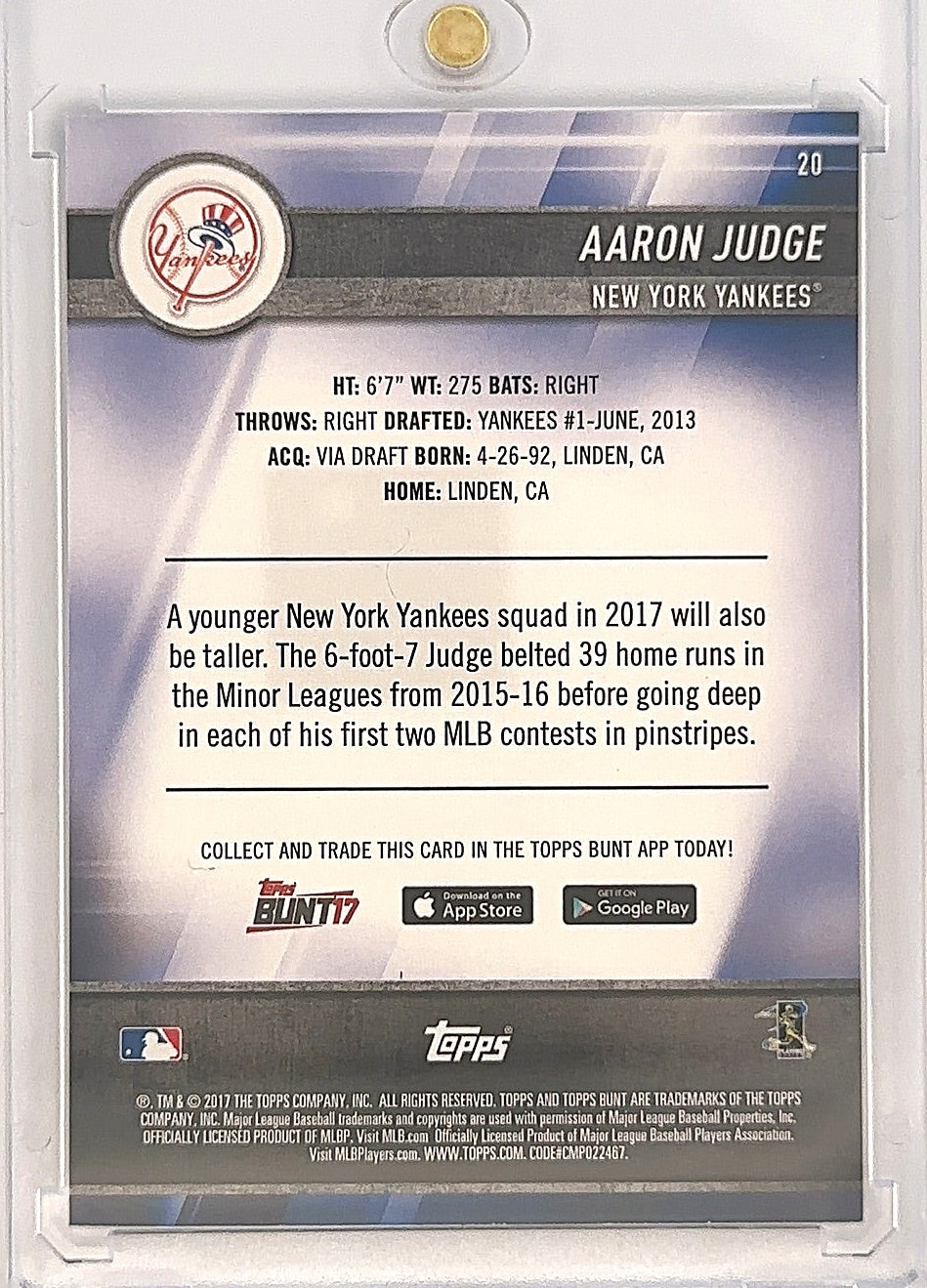2017 Topps Bunt Aaron Judge #20 — back