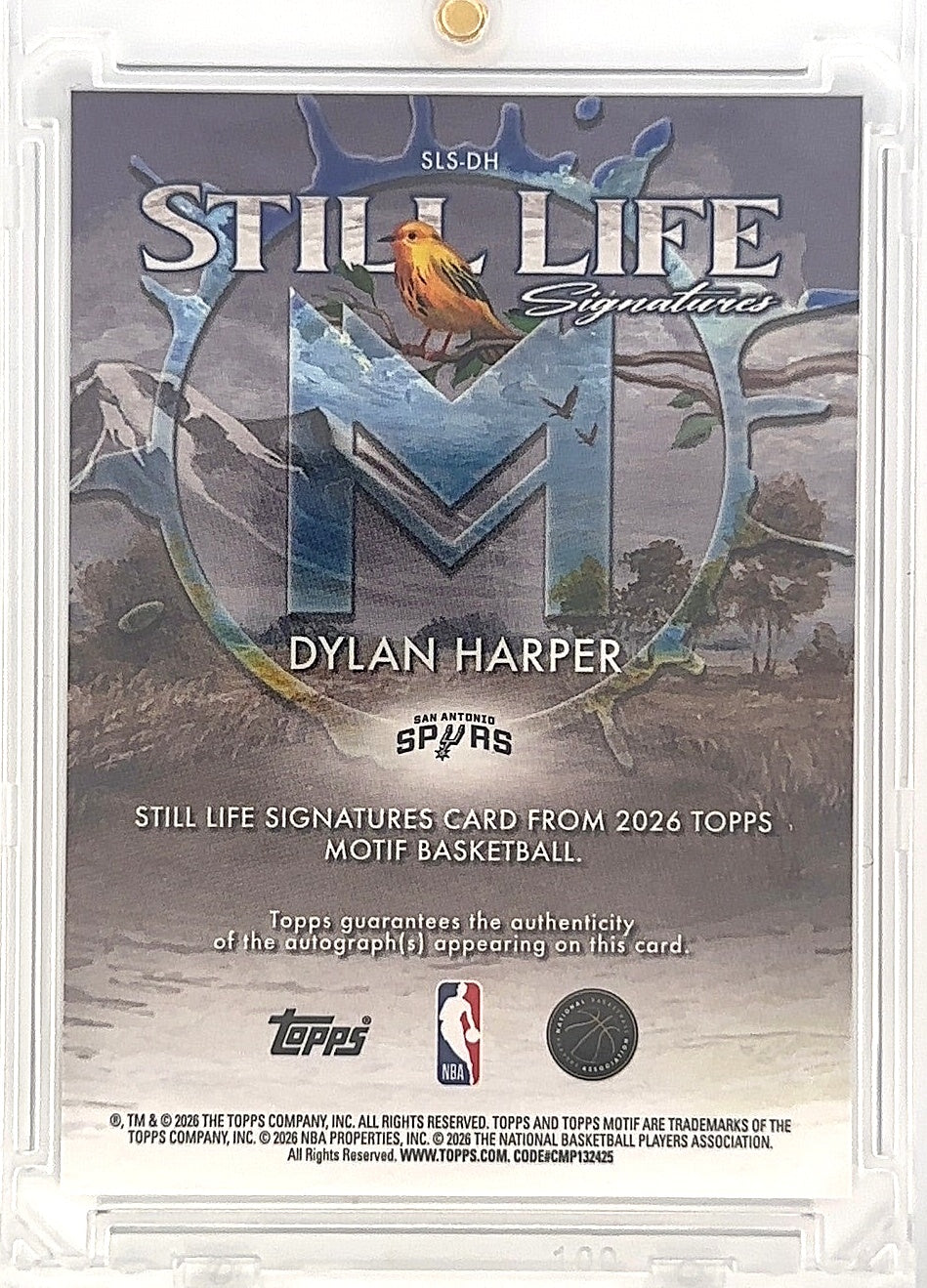 2025 Topps Motif Still Life Signatures Dylan Harper /99 #SLS-DH — back