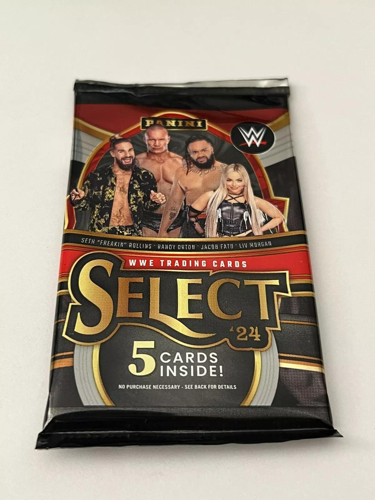 Panini WWE