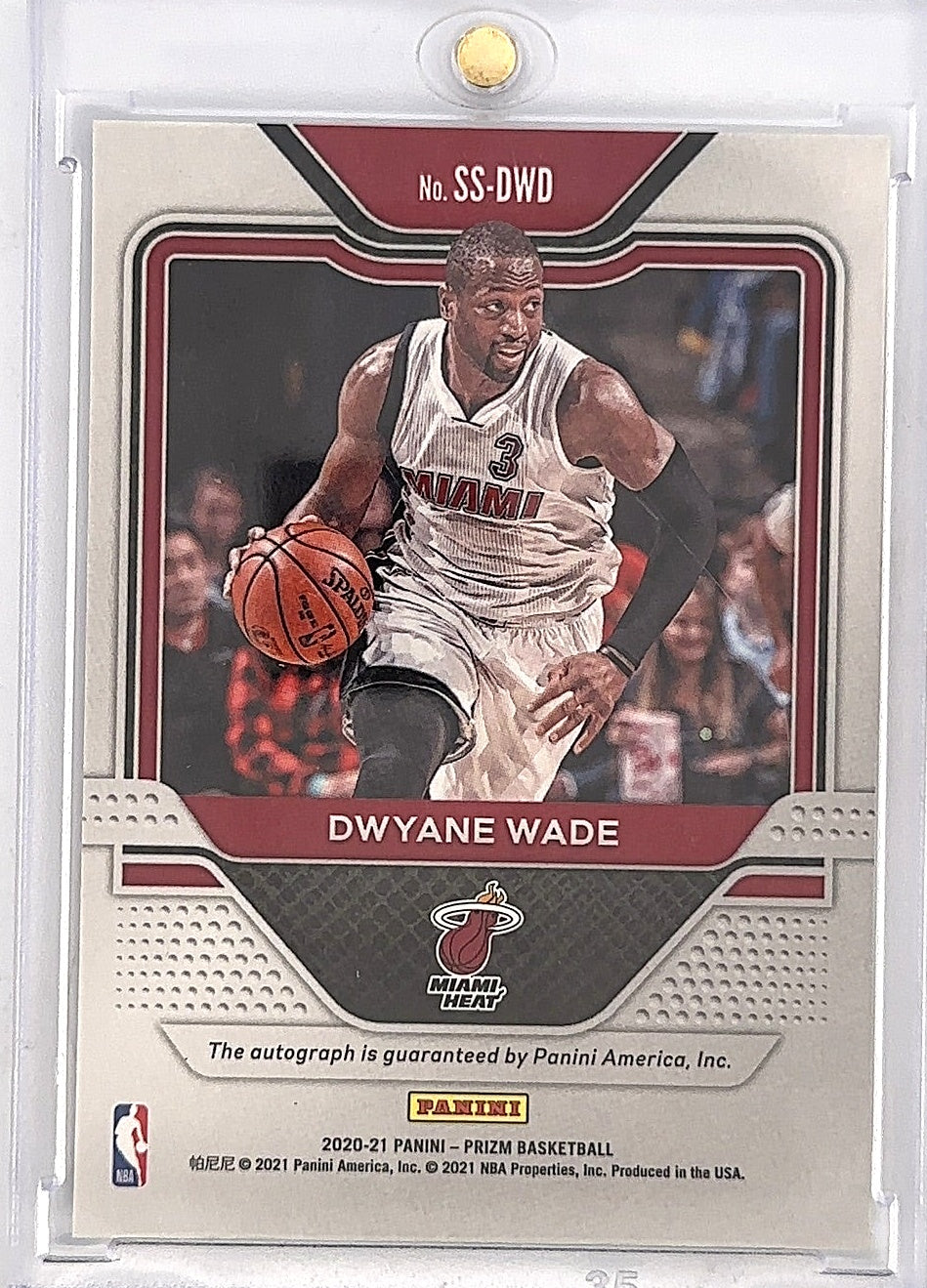 Dwyane Wade Sensational Signature — back