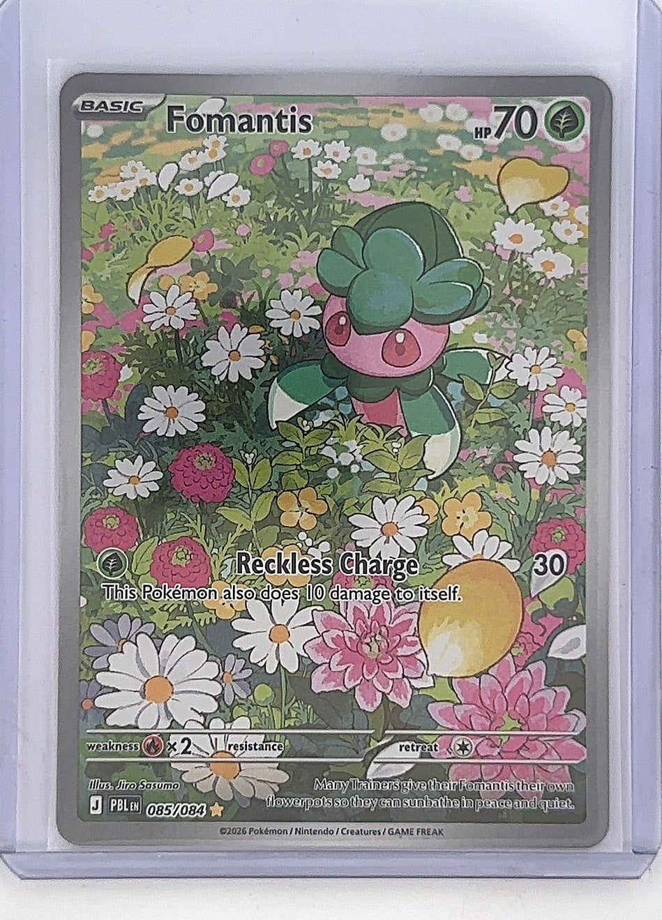 Fomantis - 085/084 #085/084 — front