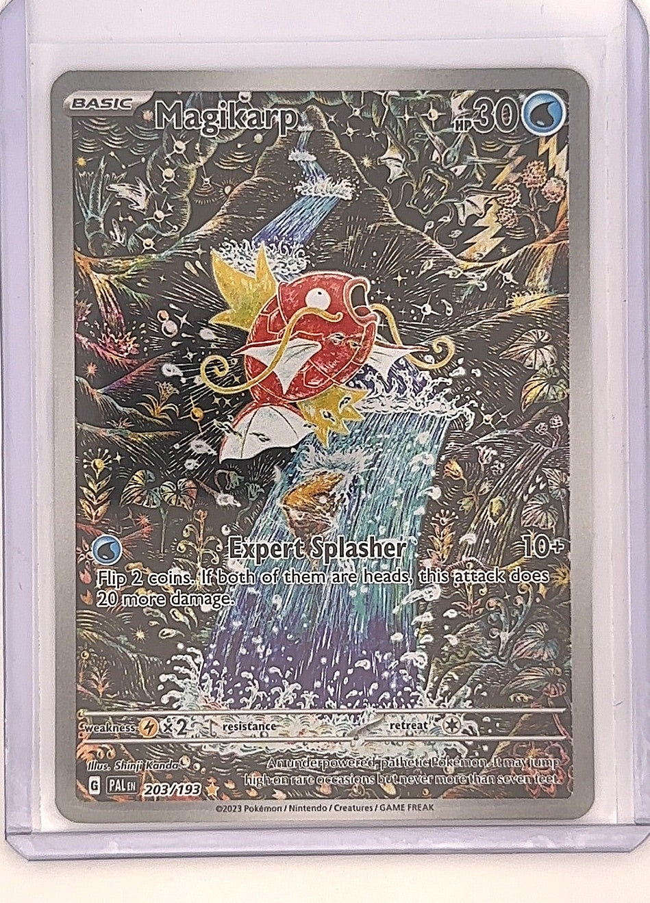 Magikarp - 203/193 #203/193 — front