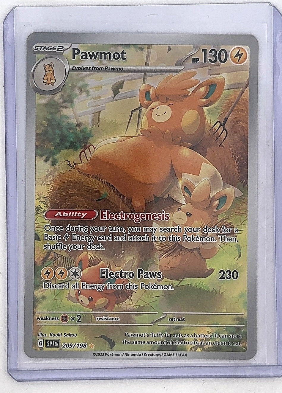 Pawmot - 209/198 #209/198 — front