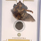 Cleopatra Gem Coin Relic — front