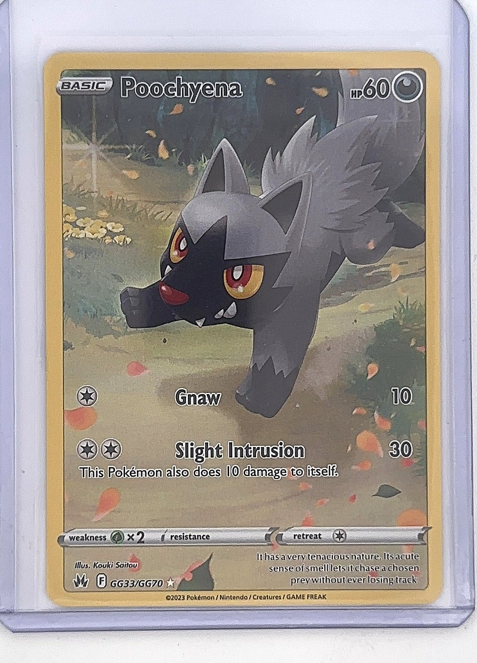 Poochyena #GG33/GG70 — back