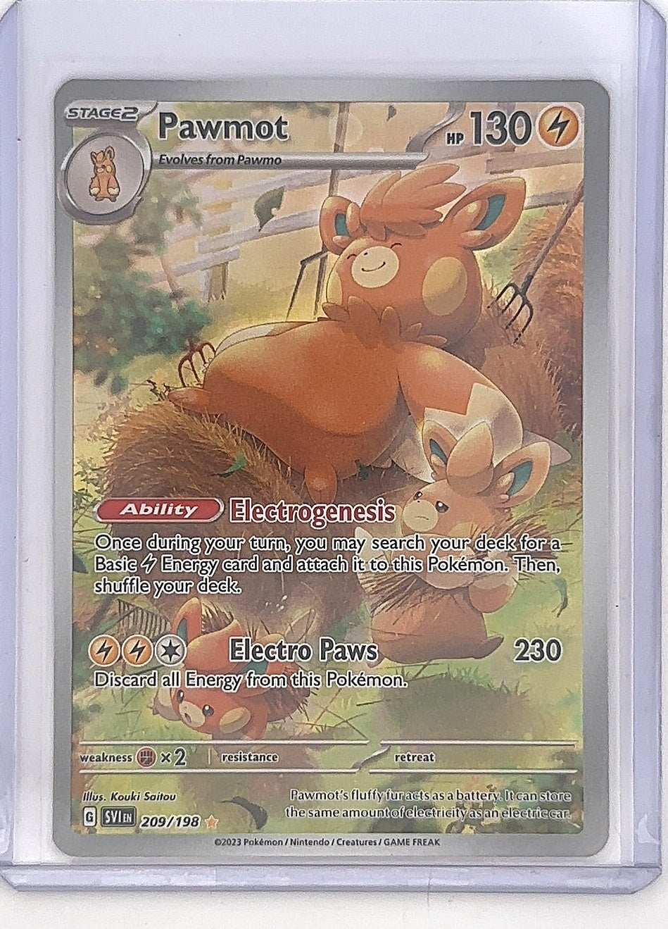 Pawmot - 209/198 #209/198 — front