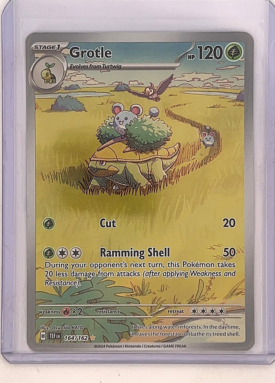 Grotle - 164/162 #164/162 — front