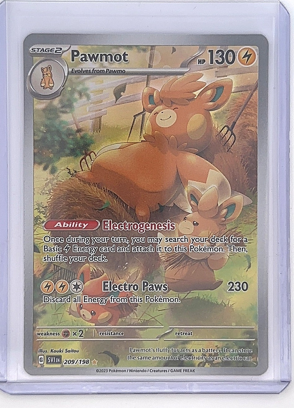 Pawmot - 209/198 #209/198 — front