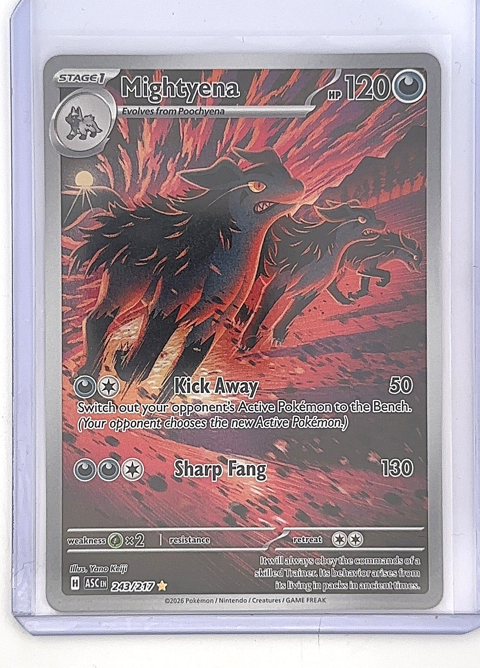Mightyena - 243/217 #243/217 — front