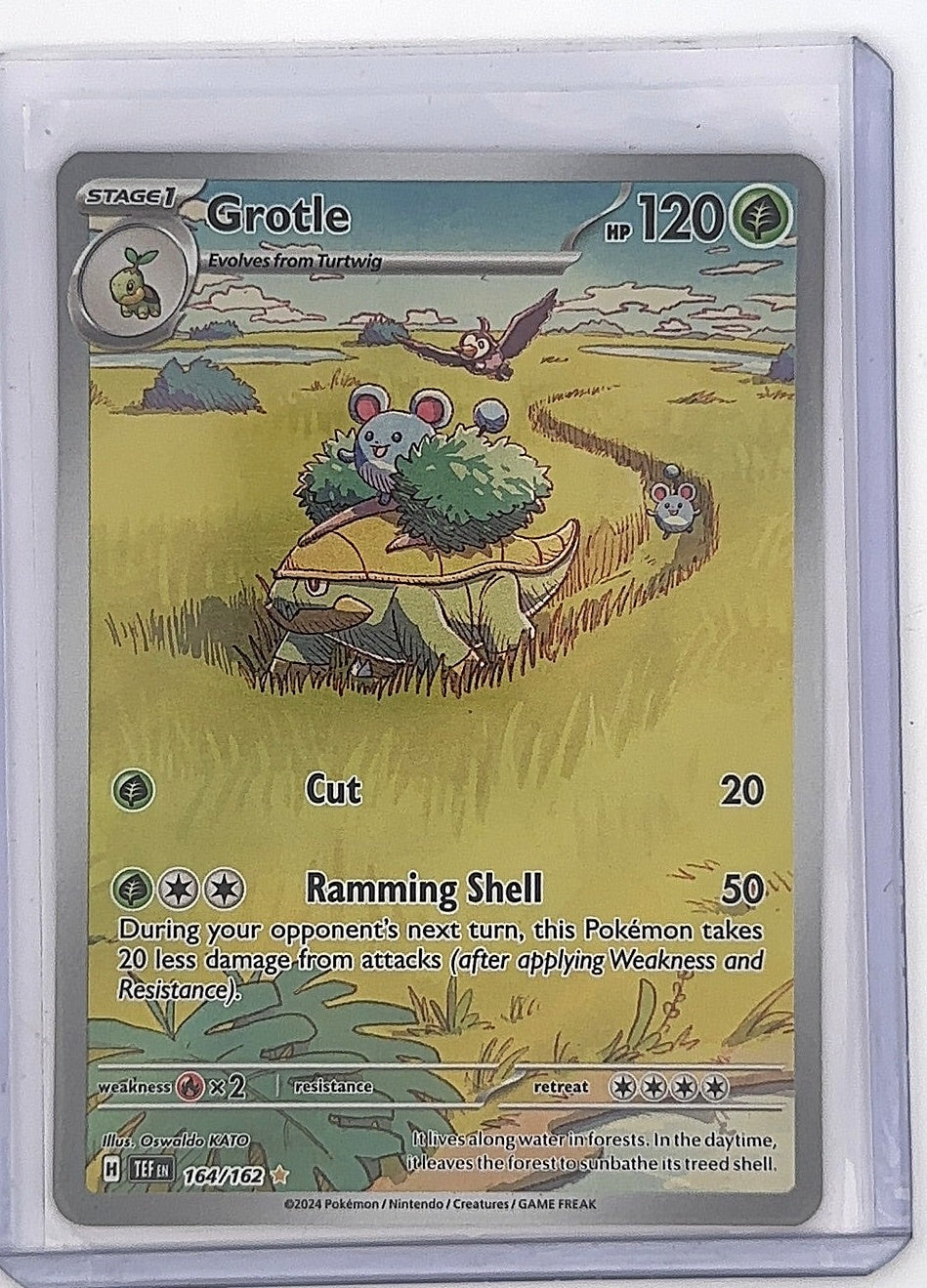 Grotle - 164/162 #164/162 — front