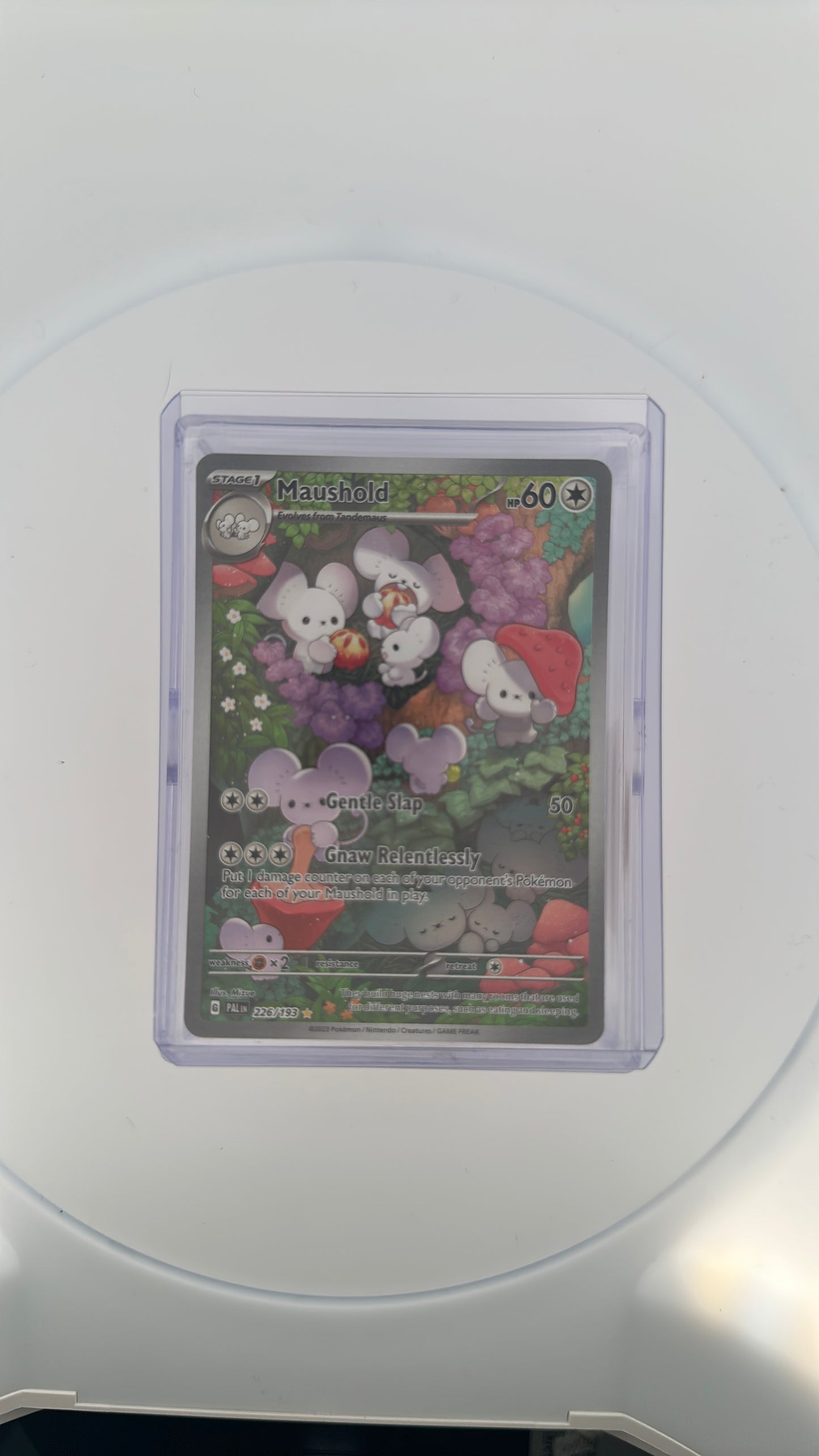 Maushold - 226/193 SV02: Paldea Evolved #226/193 — front