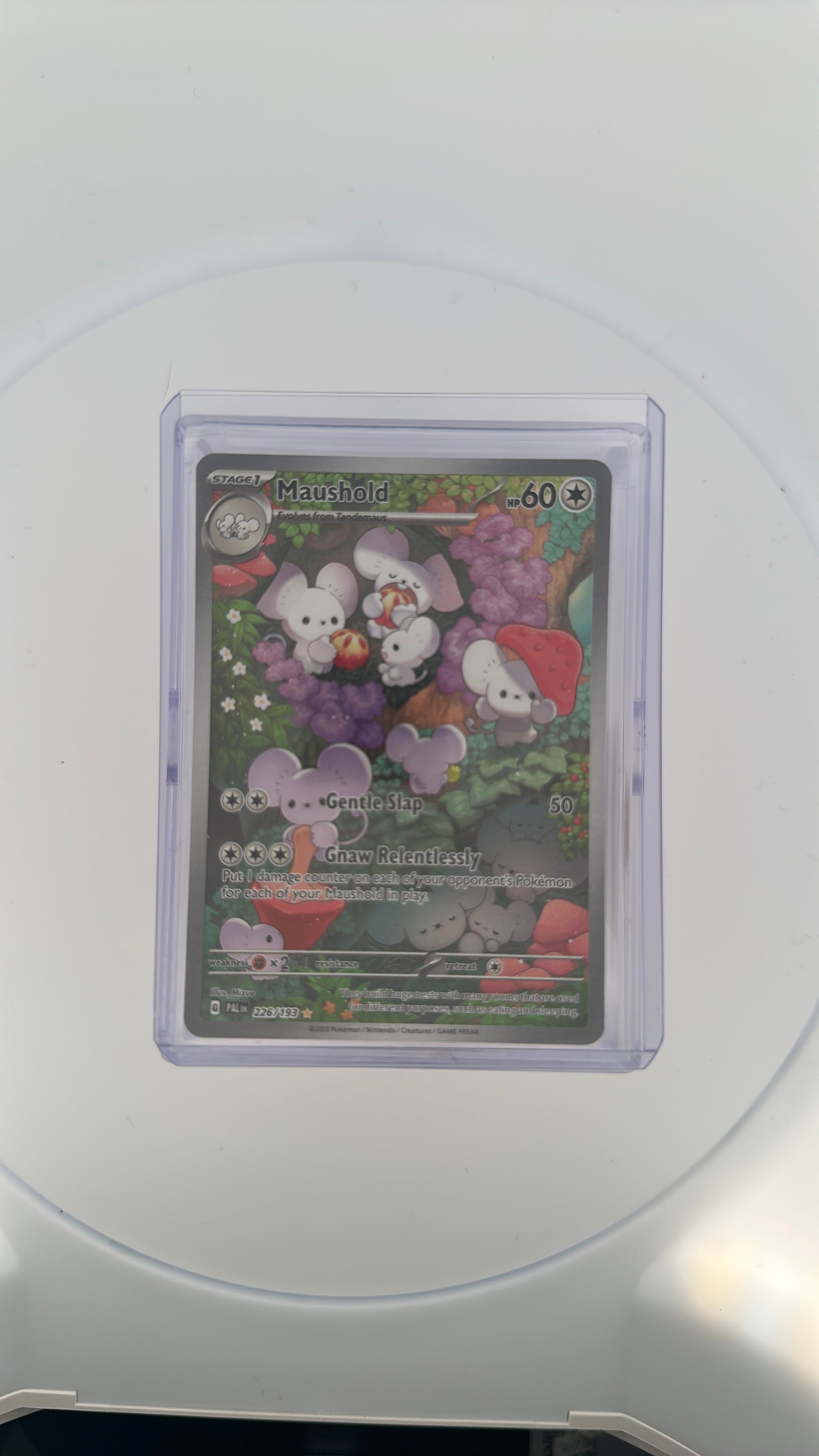 Maushold - 226/193 SV02: Paldea Evolved #226/193 — front