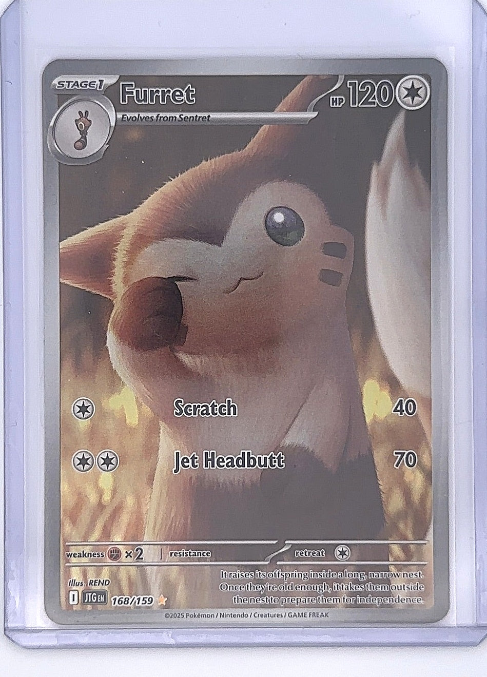 Furret - 168/159 #168/159 — front