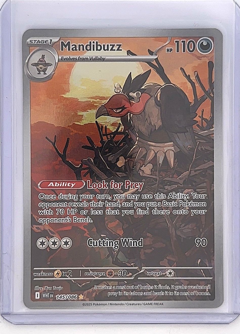 Mandibuzz - 145/086 #145/086 — front