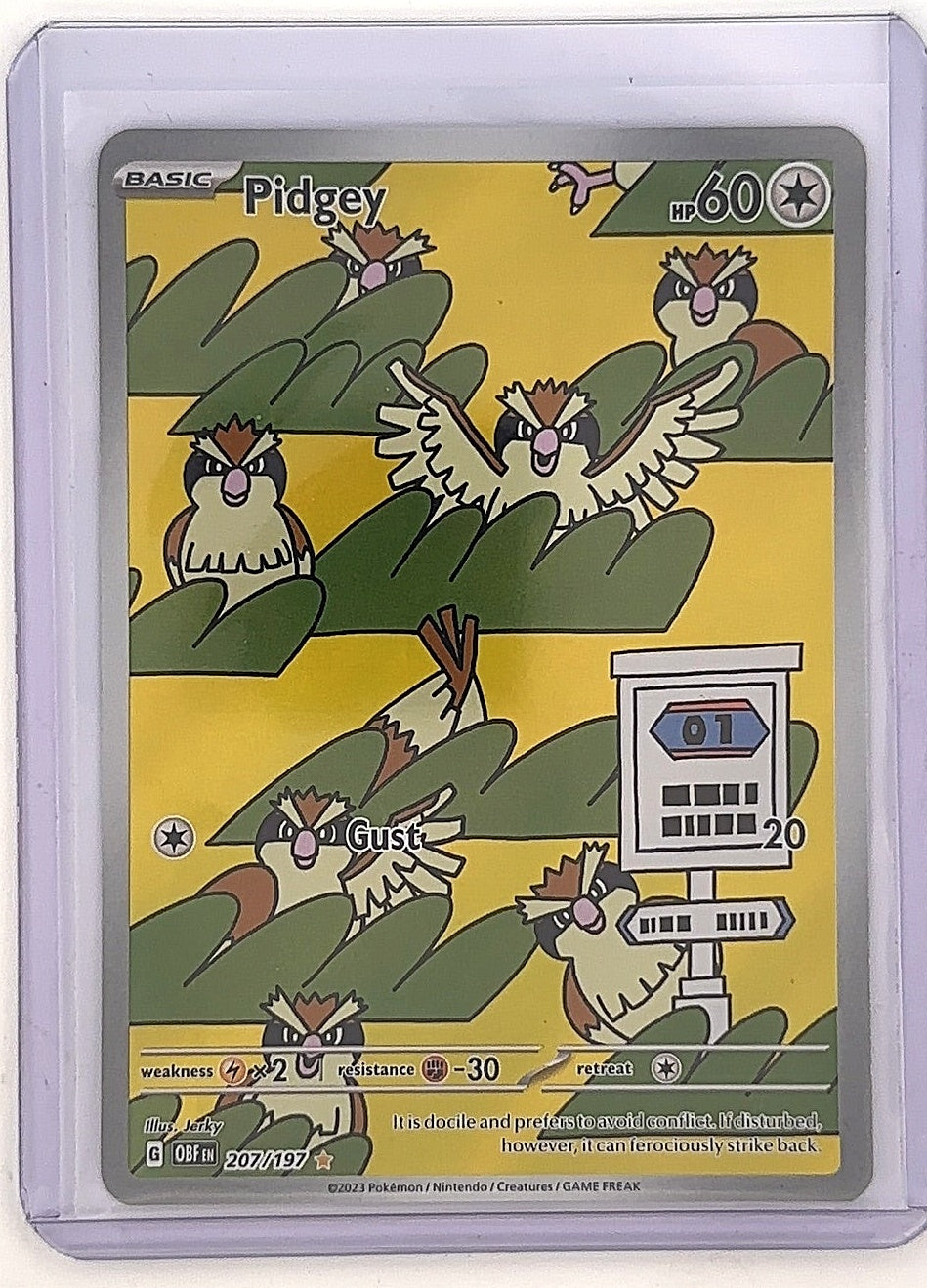 Pidgey - 207/197 #207/197 — front