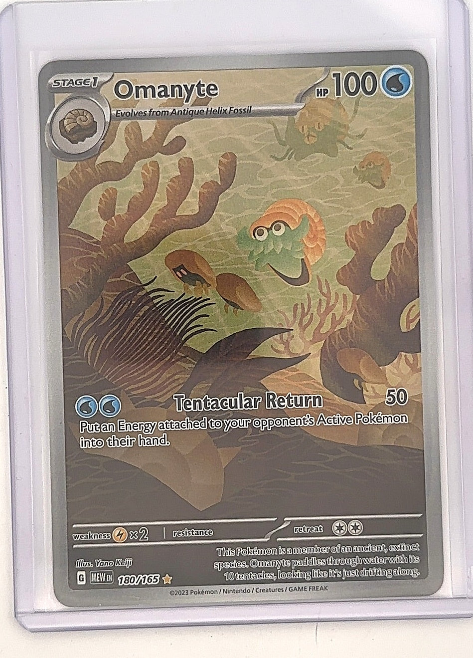 Omanyte - 180/165 #180/165 — front