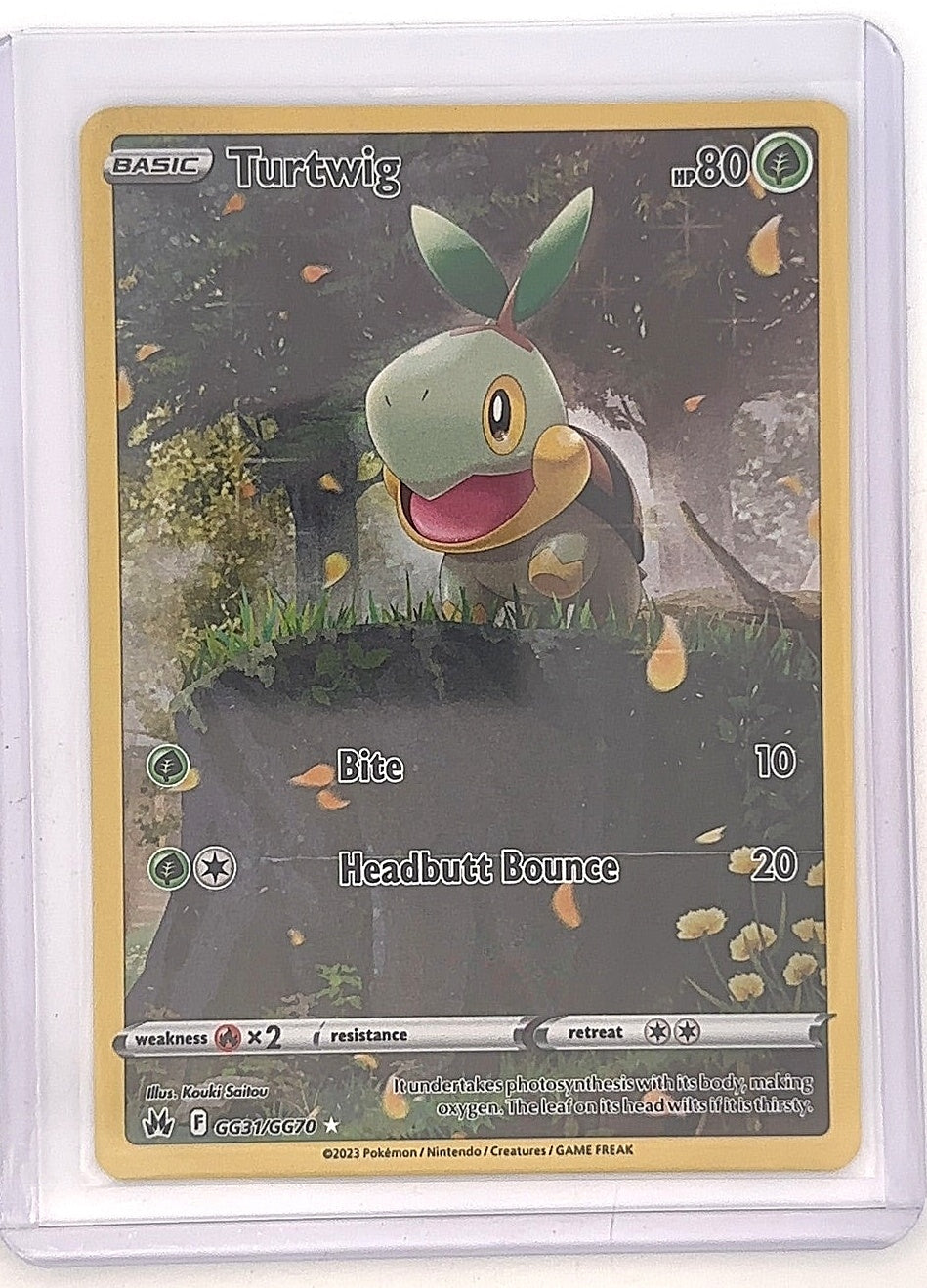 Turtwig #GG31/GG70 — front