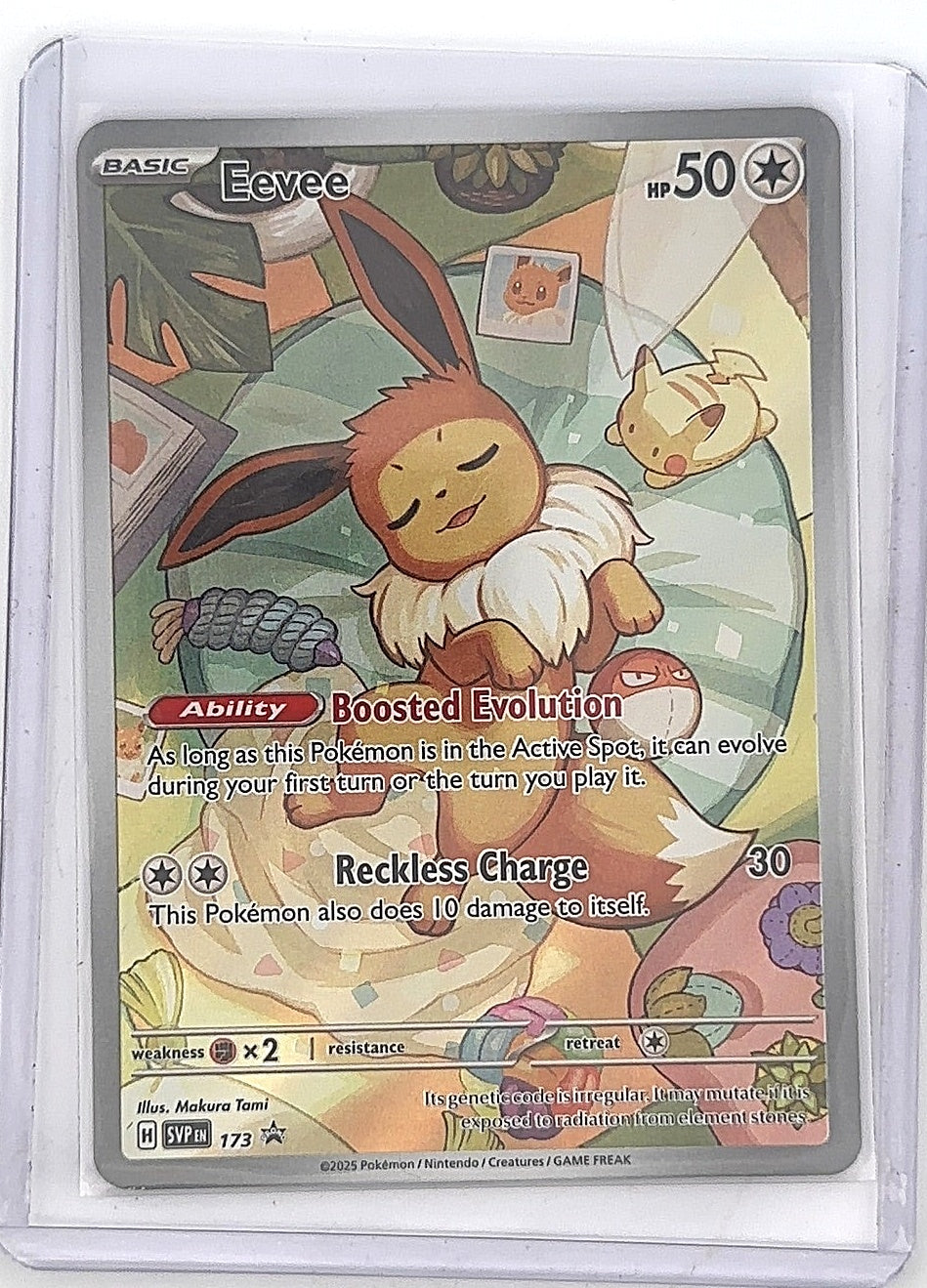 Eevee - 173 #173 — front