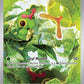 Caterpie - 172/165 #172/165 — stock