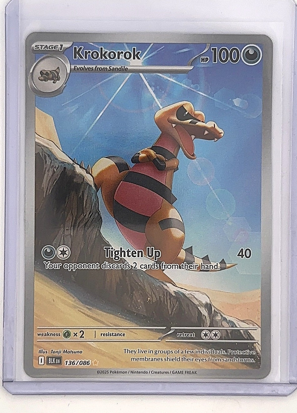 Krokorok - 136/086 #136/086 — front