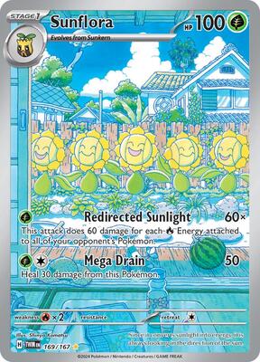 Sunflora - 169/167 #169/167 — stock