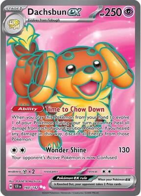 Dachsbun ex - 160/142 #160/142 — stock