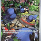 Rookidee - 082/071 #082/071 — stock