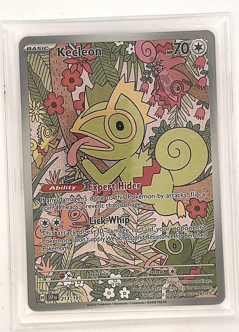 Kecleon - 213/191 #213/191 — front