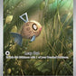 Feebas - 198/191 #198/191 — stock