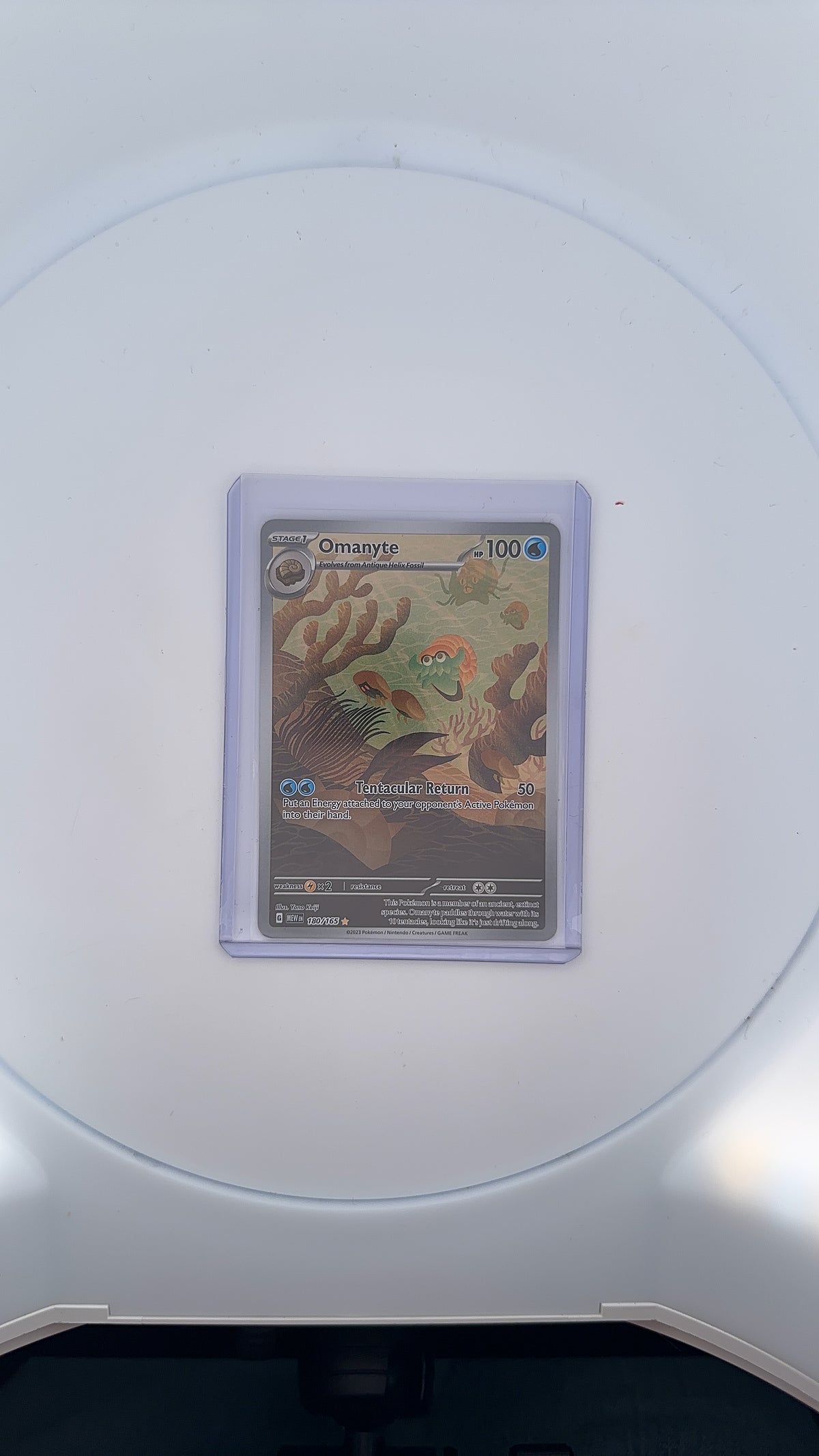 Omanyte - 180/165 #180/165 — front