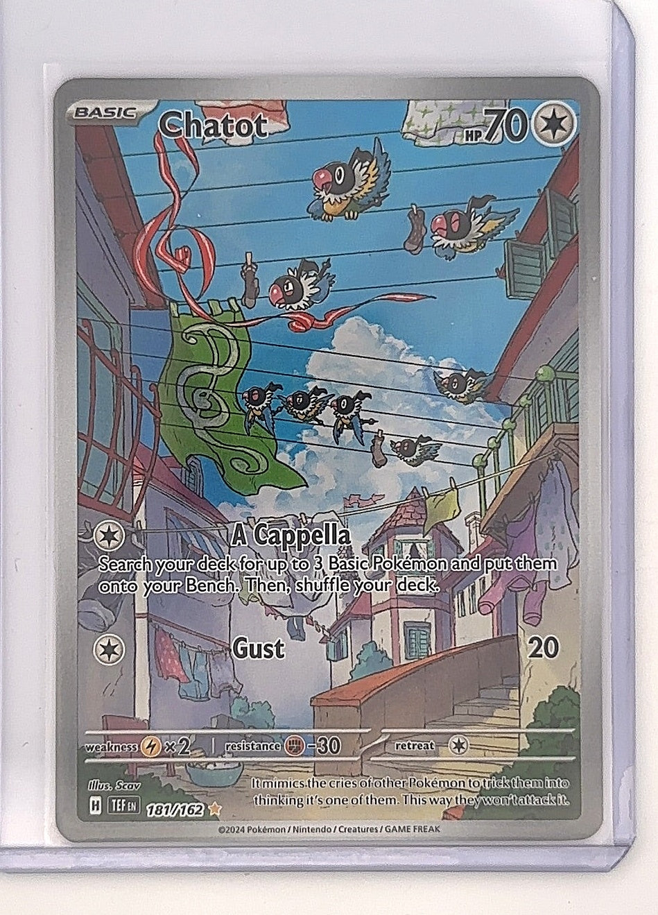 Chatot - 181/162 #181/162 — front