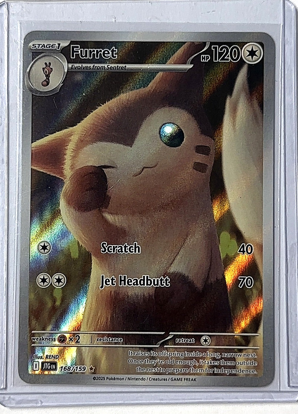 Furret - 168/159 #168/159 — front