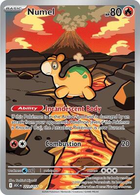 Numel - 223/217 #223/217 — stock