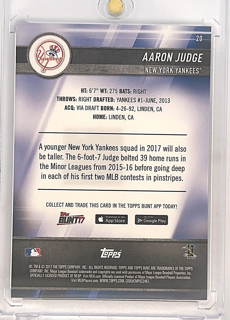 2017 Topps Bunt Aaron Judge #20 — back
