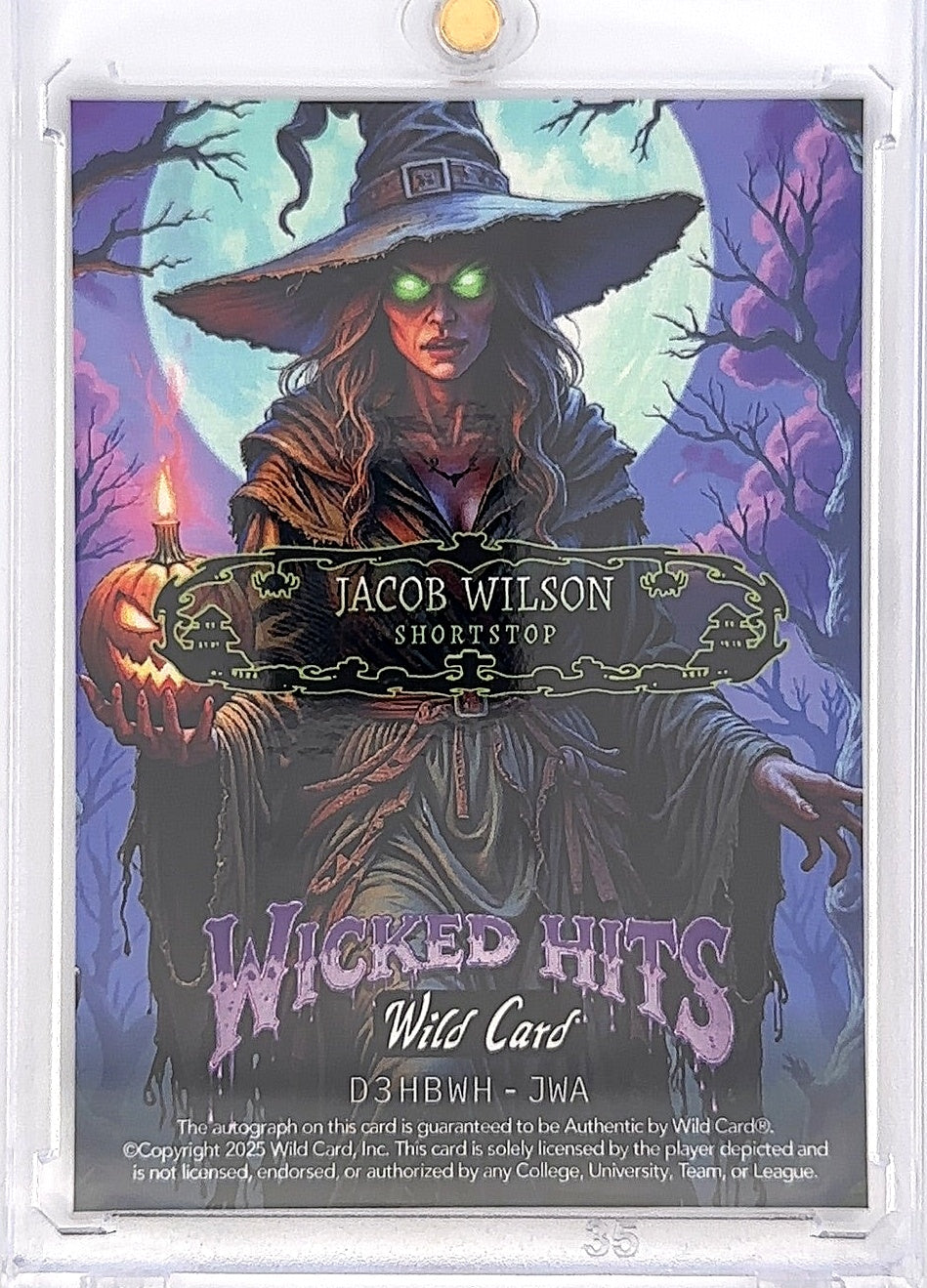 Jacob Wilson Wild Card Wicked Hits Auto — back
