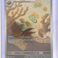 Omanyte - 180/165 #180/165 — front