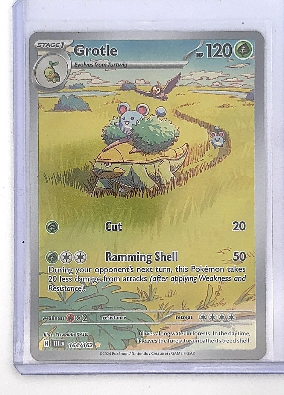 Grotle - 164/162 #164/162 — front