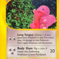 Lickitung Aquapolis #090/147 — stock