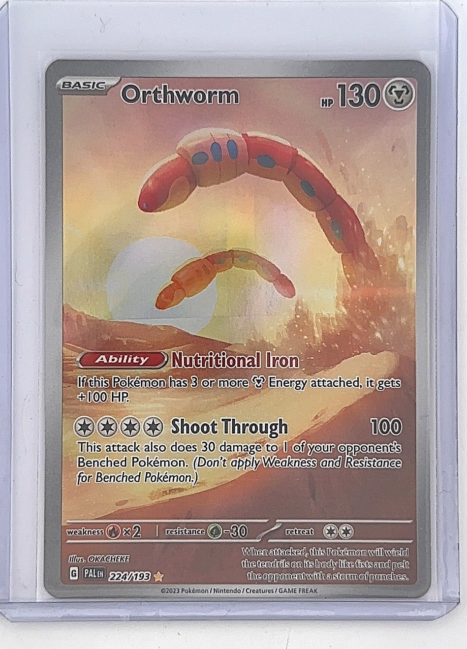 Orthworm - 224/193 #224/193 — front