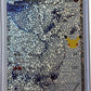Reshiram #113/114 — front