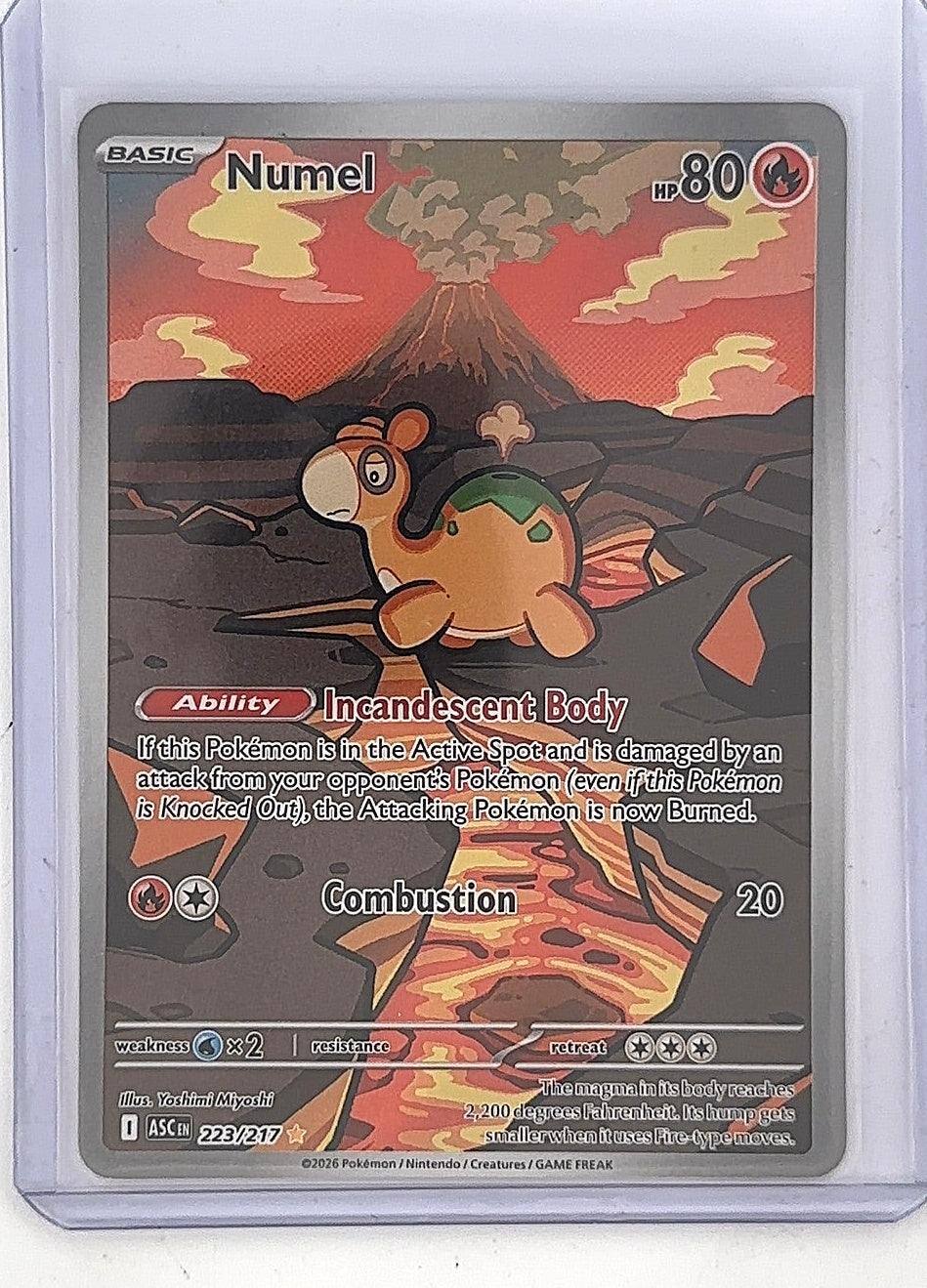 Numel - 223/217 #223/217 — front