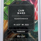 Cam Ward Wild Card Metallix RC Auto — back