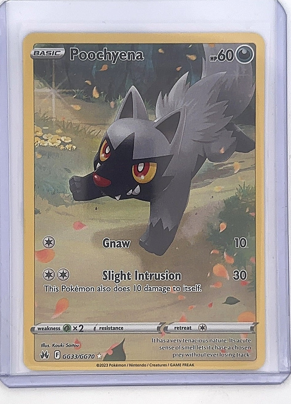 Poochyena #GG33/GG70 — front
