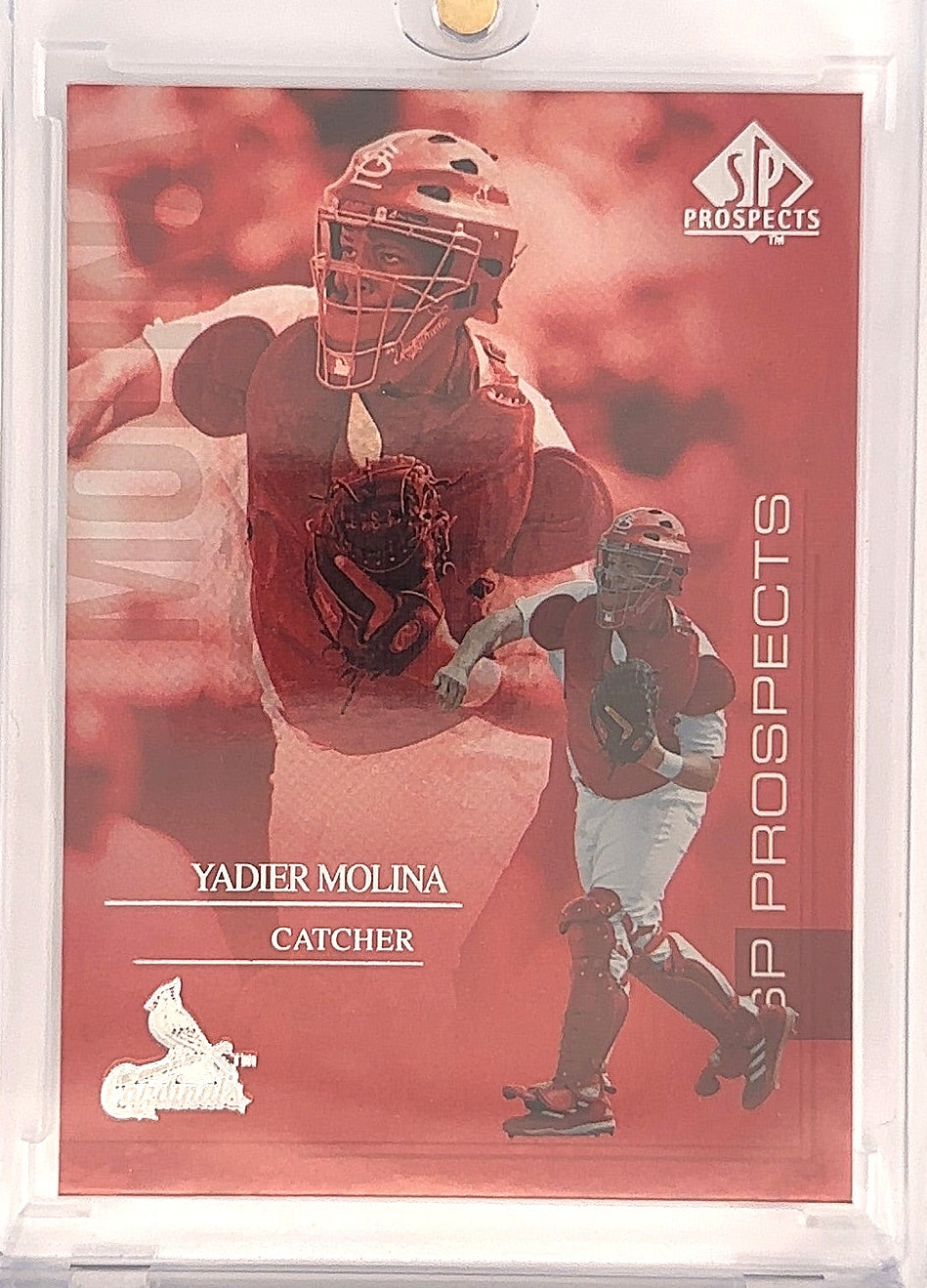 2004 SP Prospects Yadier Molina RC [Red] #140 — front