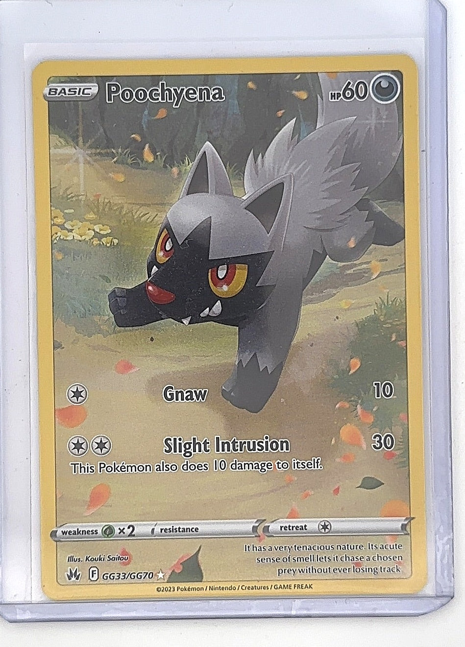 Poochyena #GG33/GG70 — front