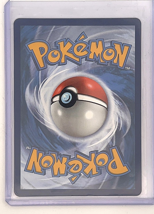 Charizard V 017/172 — back