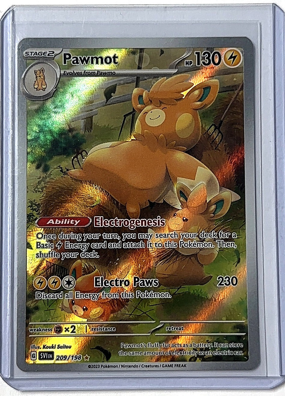Pawmot - 209/198 #209/198 — front