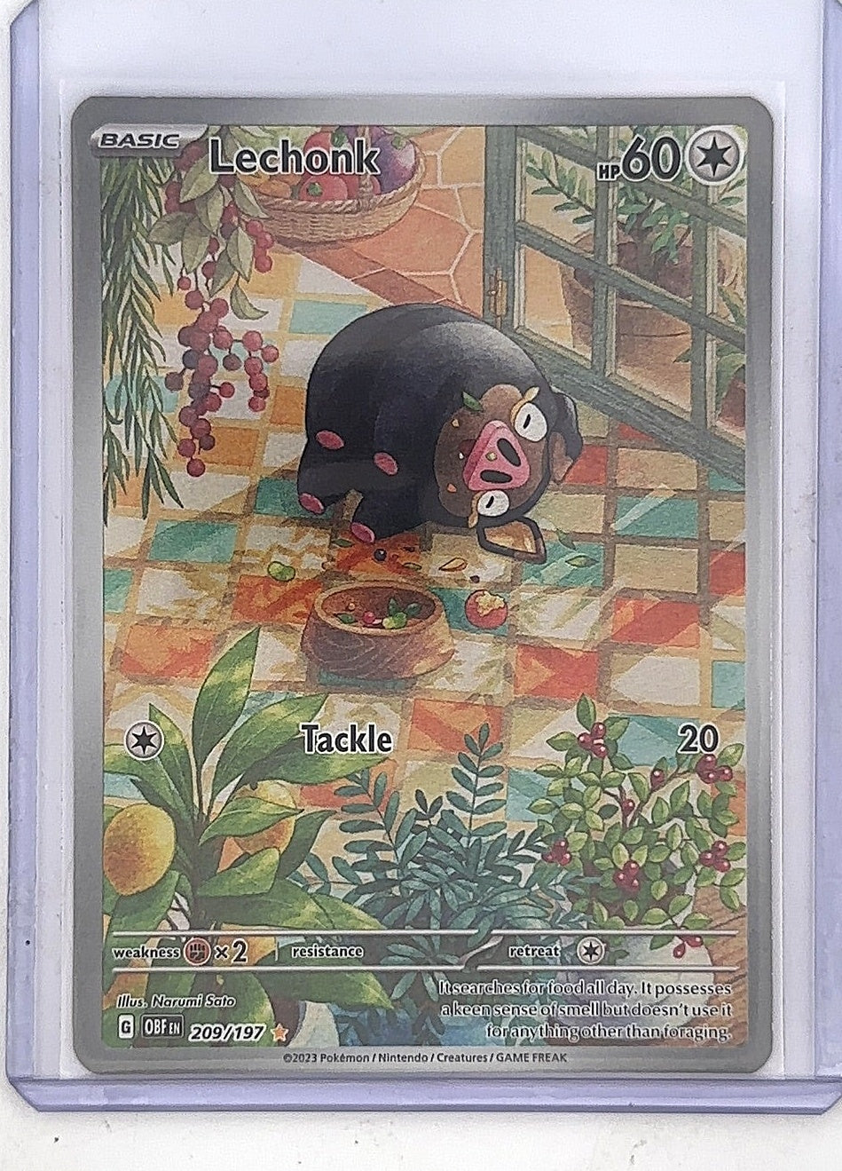 Lechonk - 209/197 #209/197 — front