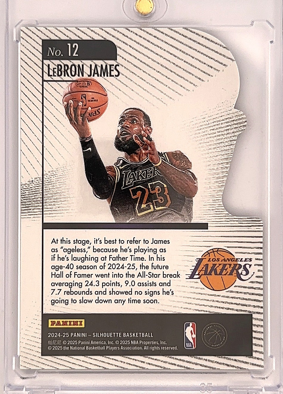 2024 Panini Silhouette Hand Crafted LeBron James [Bronze] #12 — back